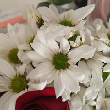 Kalitesiz Çiçekler, Cevapsız Müşteri Hizmeti