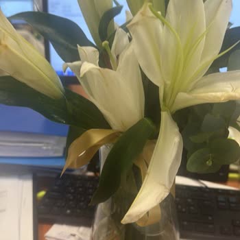 Soluk Ve Özensiz Çiçek Teslimatı, Müşteri Hizmetinden Cevap Gelmedi