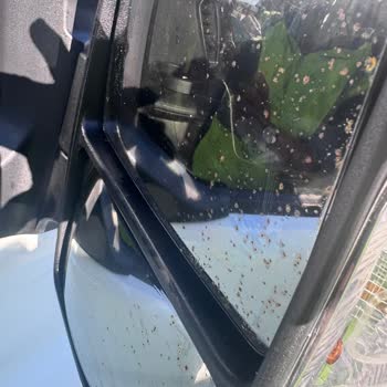 Yeni Ford Transit 350 Sağ Ayna Camındaki Paslanma Garanti Kapsamına Alınmadı