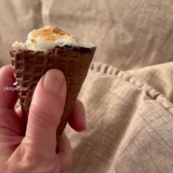 Bayat Cornetto Disc