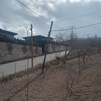 Türk Telekom Kayseri Hacılar’da Güvenliği Tehdit Eden Telefon Direği İçin Acil Sökülme Talebi