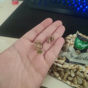 Çerezya İç Ayçekirdeğinde Cam Parçası Tespiti Ve Gıda Güvenliği İhlali