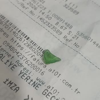 Çerezya İç Ayçekirdeğinde Cam Parçası Tespiti Ve Gıda Güvenliği İhlali