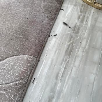 Robot Süpürge Kirleri Dışarı Atıyor, Mağazayla İletişim Kurulamıyor