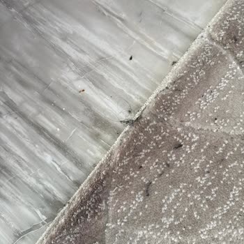 Robot Süpürge Kirleri Dışarı Atıyor, Mağazayla İletişim Kurulamıyor