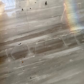 Robot Süpürge Kirleri Dışarı Atıyor, Mağazayla İletişim Kurulamıyor