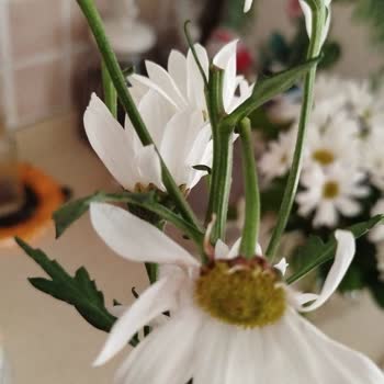 500 TL'lik Çiçek Aranjmanı Az Ve Dağınık, İade Talebi