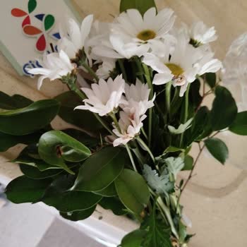 500 TL'lik Çiçek Aranjmanı Az Ve Dağınık, İade Talebi