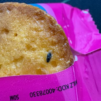 Ülker Kekstra Jölebol'unda Böcek Sorunu