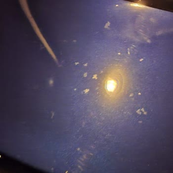 Renault Sıfır Araçlarda Sürekli Kusur: Lekeler, Kuş Dışkısı, Cam Kırığı Ve Boya Sorunu