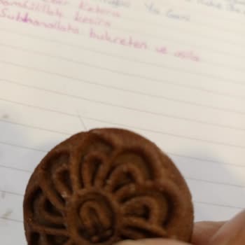 Kılı Bisküvi Nedeniyle Tüm Paketi Çöpe Atmak Zorunda Kaldım