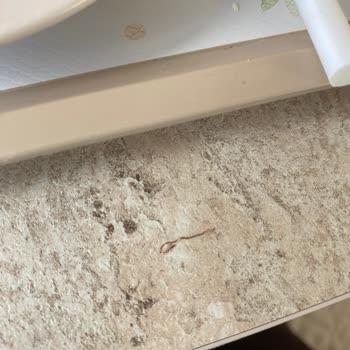 Helva İçinde Bakır Tel Bulunması Damağımı Yaraladı