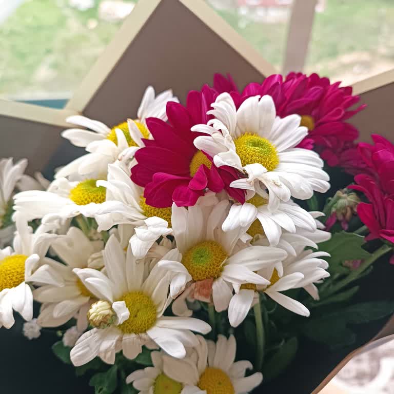 Solmuş Çiçek, Kapıya Teslim Edilmemesi Ve Müşteri Hizmetine Ulaşılamaması