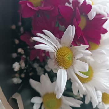 Çiçek Market Kapıya Teslim Beklerken Çiçek Güvenliğe Bırakıldı, Solgundu