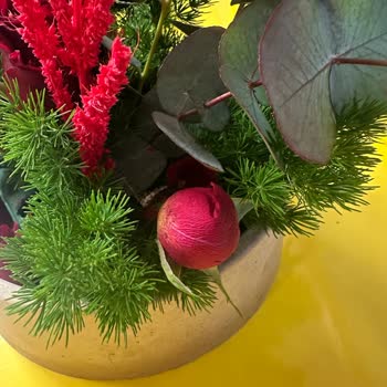 Görseldeki Canlı Kırmızı Güller Yerine Soluk Ve Islak Ürün, Kart Eksik