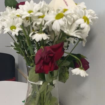 İlan Görseliyle Uyuşmayan Solmuş Çiçek Ve Cevapsız İade Talebi