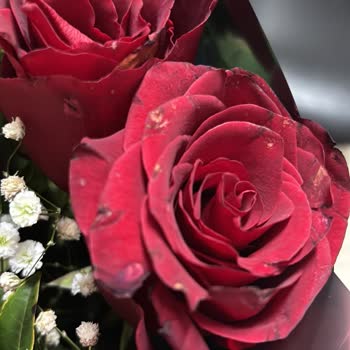 Moda Çiçekcilik Müşteriyle İletişim ve İade Süreçleri