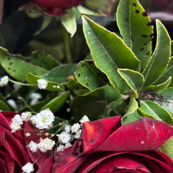 Moda Çiçekcilik Müşteriyle İletişim ve İade Süreçleri