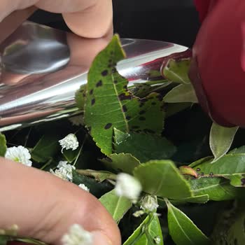 Moda Çiçekcilik Müşteriyle İletişim ve İade Süreçleri