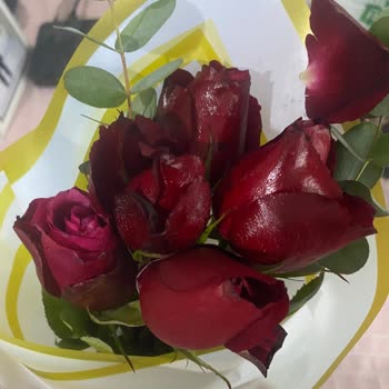 Çiçek Sepeti'nde Çürük Çiçek Teslimatı Ve Yanıtsız Müşteri Hizmetleri