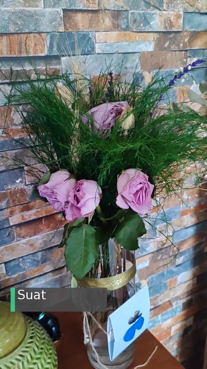 Taze Çiçek Hayal Kırıklığı Oldu! videonun kapak resmi