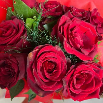 Sevgililer Günü Siparişinde Bozuk Güller Ve Ürün Görseli Uyumsuzluğu