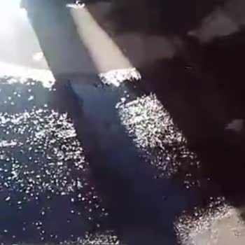 Osmangazi Belediyesi Çöp Tenekesine Atılan Motor Yağları!