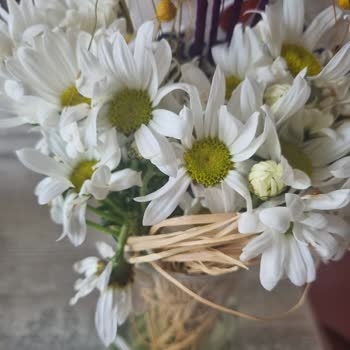 ÇiçekSepeti'nden Solmuş Sevgililer Günü Çiçeği Teslimatı!