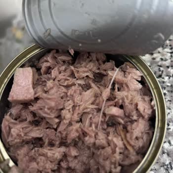 Derya Ton Konservesinde Kılçık: Güven Sorunu