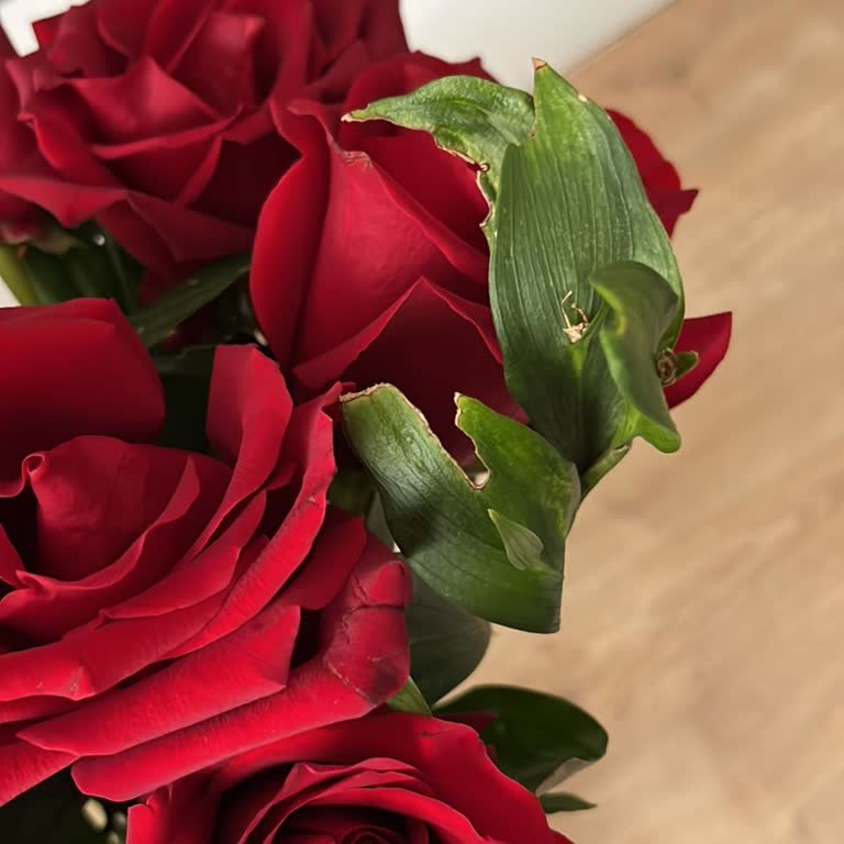 Çiçek Sepeti'nden Çürük Çiçek Teslimatı Ve Müşteri Mahcubiyeti