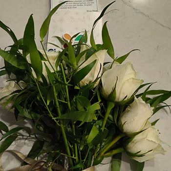 Kurye Vazoyu Düşürerek Kırdı Ve Çiçek Sepeti Müşteri Hizmetleri Yanıt Vermedi