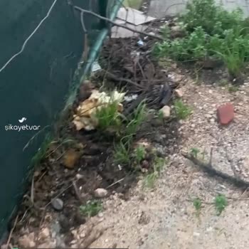 Osmangazi Belediyesi Elmasbahçeler Tesis Kirliliği