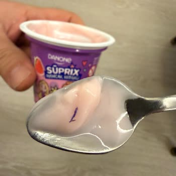 Danone Yoğurdunda Sineğe Benzer Yabancı Madde: Sağlık Ve Hijyen Endişesi