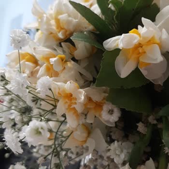 Marmara Çiçek’in Kötü Çiçek Kalitesi Ve Suçlayıcı Müşteri Tutumu