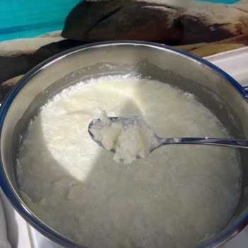 Bozuk Süt İçin İade Talebi Ve Personel Üslubu