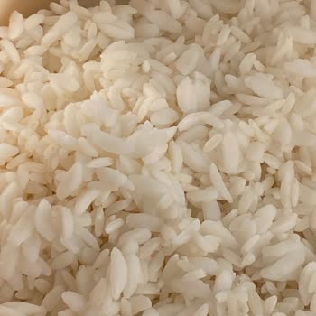 Yayla Baldo Pirinçinde Lapa Ve Yapışkanlık Sorunu