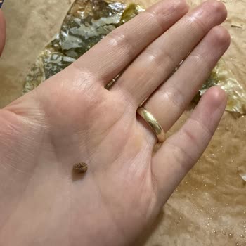 Galez Gıda Katmerin İçinden Taş Çıktı!