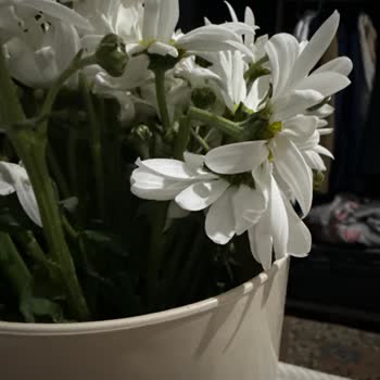 Sevgililer Günü Siparişinde Solmuş Ve Kırık Çiçekler Hayal Kırıklığı Yaratıyor