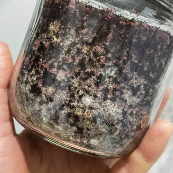 Küflü Sumak Ve Saygısız Müşteri Yanıtı