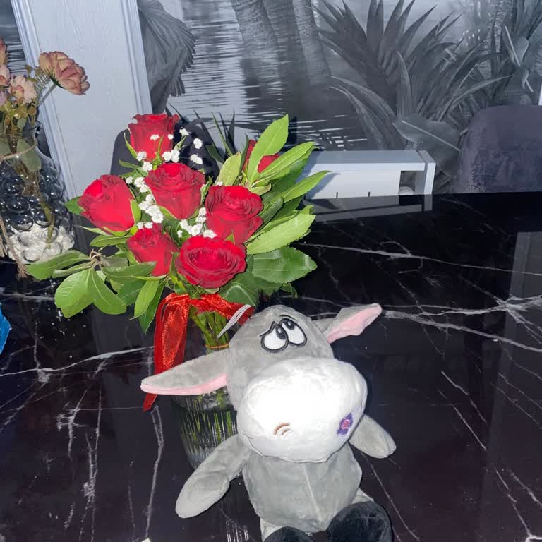 Ayıcık Beklerken Yanlış Peluş Aldım