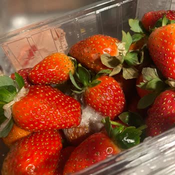 Müşteriye Küflü Çilek Gönderilmesi Ve İade Reddi