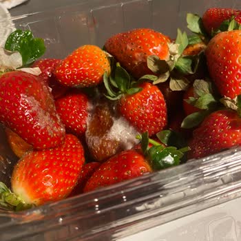 Müşteriye Küflü Çilek Gönderilmesi Ve İade Reddi