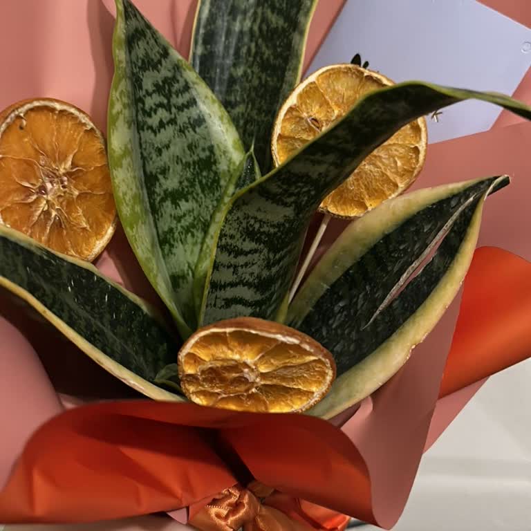 Taze Çiçek'ten Sağlıksız Çiçek Ve Cevapsız İletişim