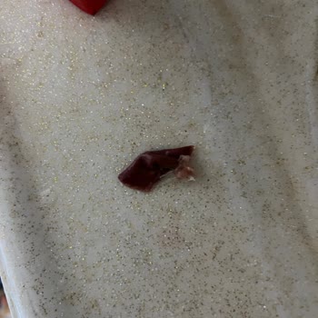 Jucy Vişne Nektarında Yabancı Madde Bulunması