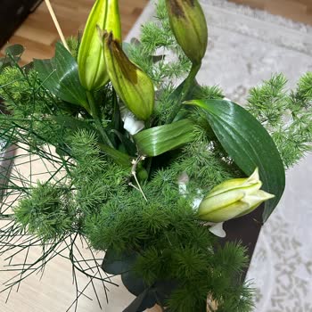 Görseldeki Şıklık Yerine Kalitesiz Çiçek Ve Teslimat Gecikmesi