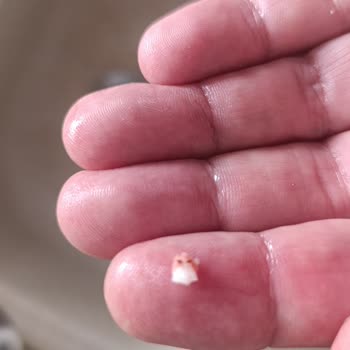 Başyazıcı Sucukta Kemik Ve Kıkırdak Çıktı Güven Kaybı