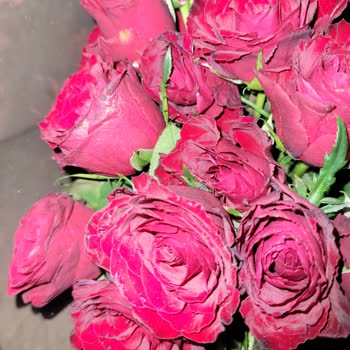 Hızlı Çiçek | Hizlicicek.com Gelen Ürün, Görsellerde Ve Açıklamada Vaat Edilenden Tamamen Farklıydı!