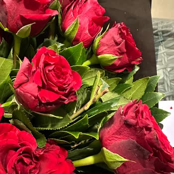 Yanlış Ve Solmuş Buket Gönderildi; Tam İade Ve Yeniden Gönderim Talebim