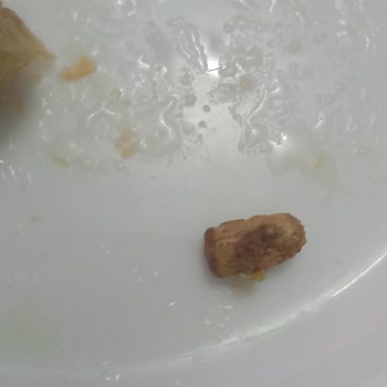 Baklava İçinden Çıkan Tahta Parçası Dişimi Kırdı, Şube İletişimsiz Kaldı, İade Talebi