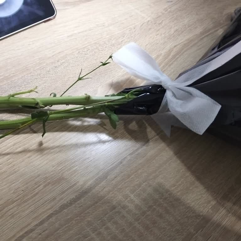 Geç Teslim Ve Yanlış Çiçek Nedeniyle Ücret İadesi Talebi